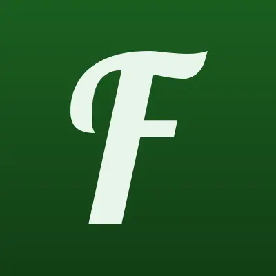 FastMoney, микрофинансовая компания, лого-визитка