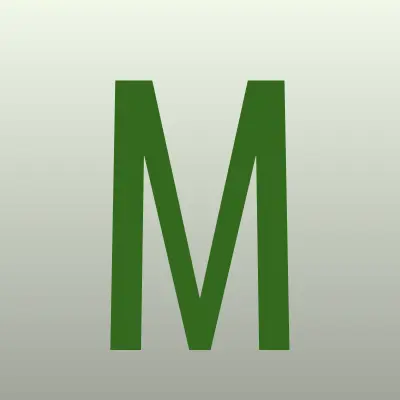 mr.X, магазин, лого-визитка